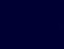 ゲンジボタルの発光イメージ