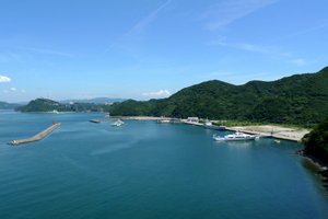 釣り場 亀浦観光港