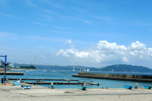 釣り場 八木の鼻